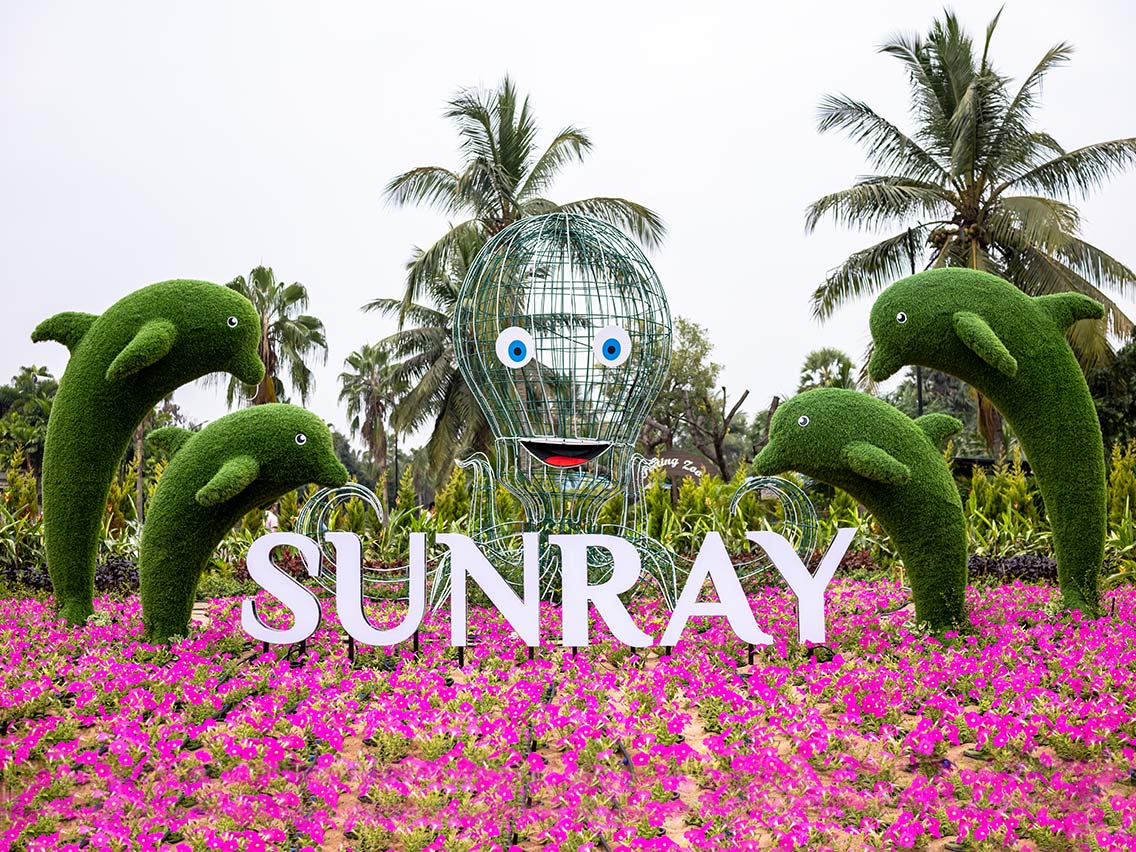 Luxury accommodation at Sunray Village Resort