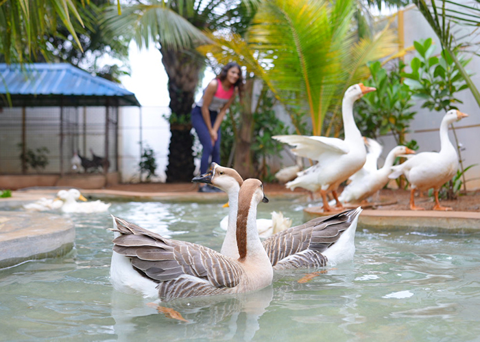 Bird Park & Pet Zoo