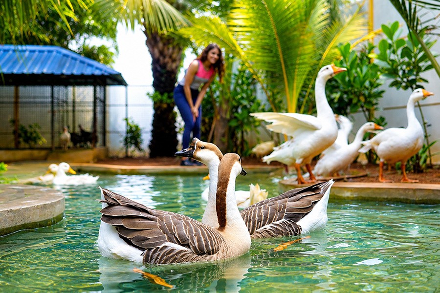Sunray Village Resort