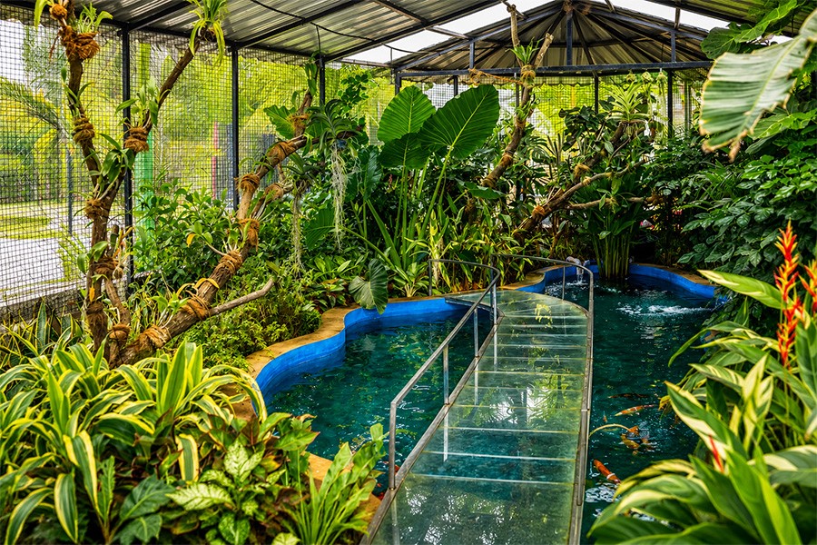 Sunray Village Resort