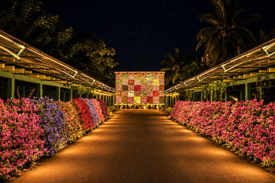 Sunray Village Resort